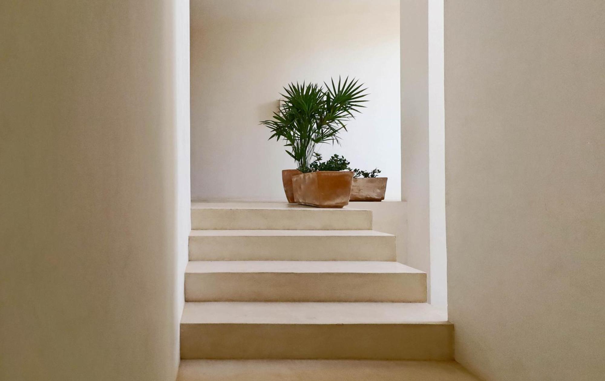 Suites Panamera Tulum Dış mekan fotoğraf